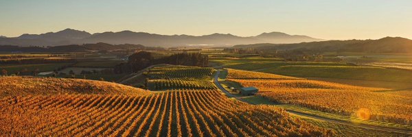 stevechurton Profile Banner