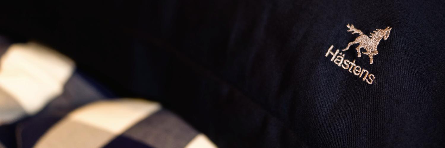HastensMexico's profile banner image