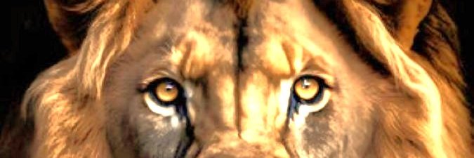 jeff howell banner