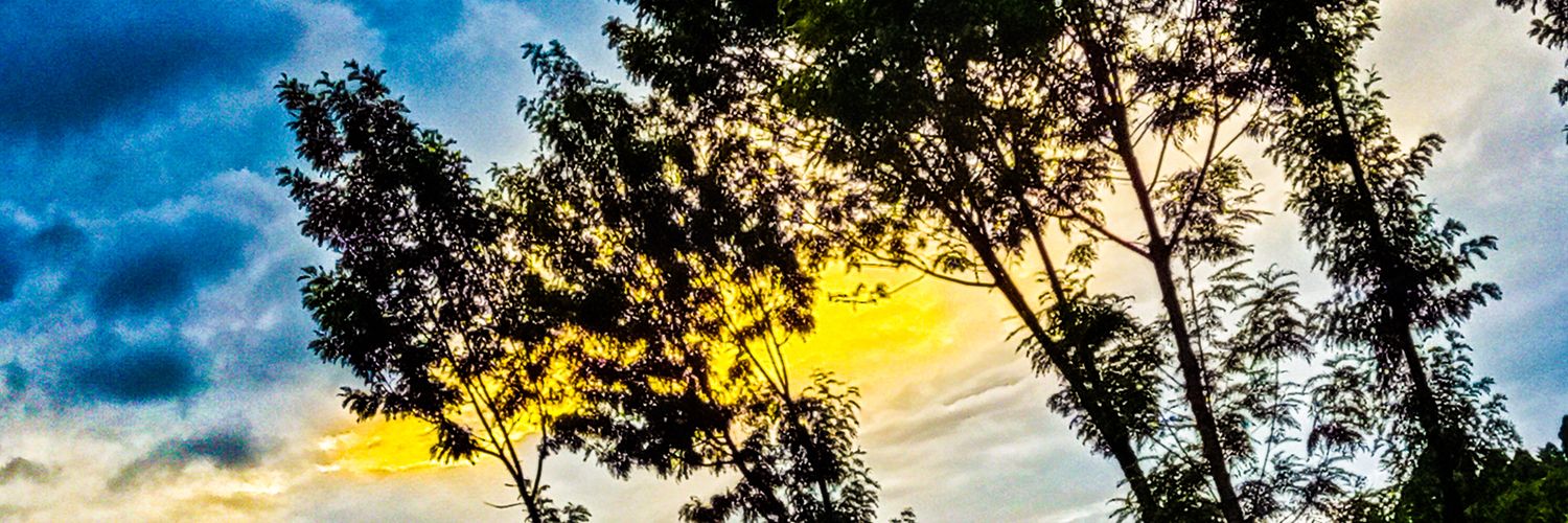kevingitahi_ke's profile banner image