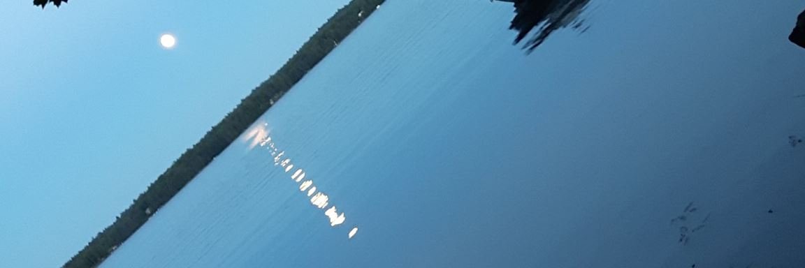 Gale, The Puppet 💤 banner