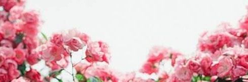 linds_true_'s profile banner image
