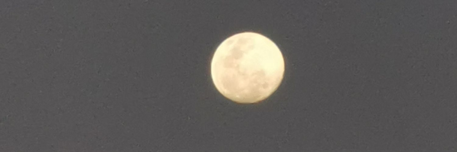 Jacostha's profile banner image
