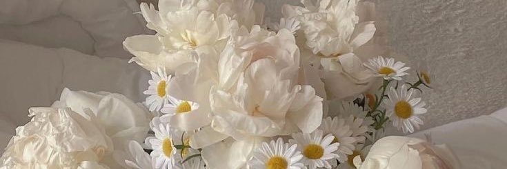 ㅈㅁ🌷 banner