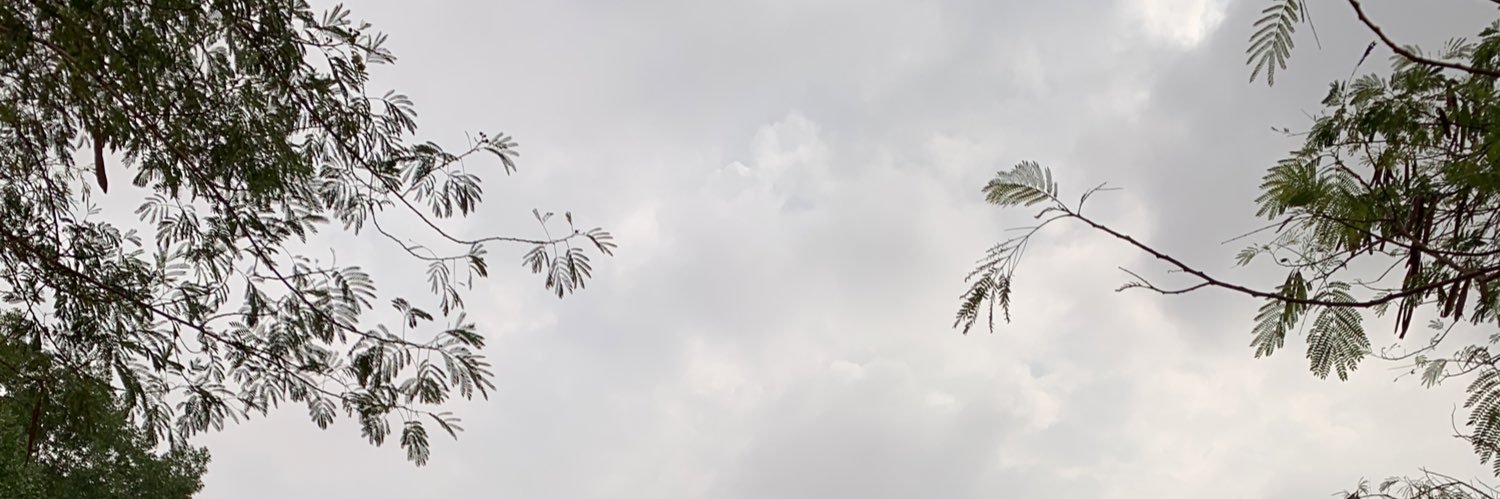 M_Almohaimidy's profile banner image