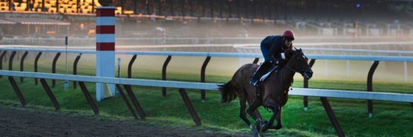 Dan | MB Stables banner