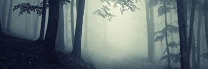 Антонина banner