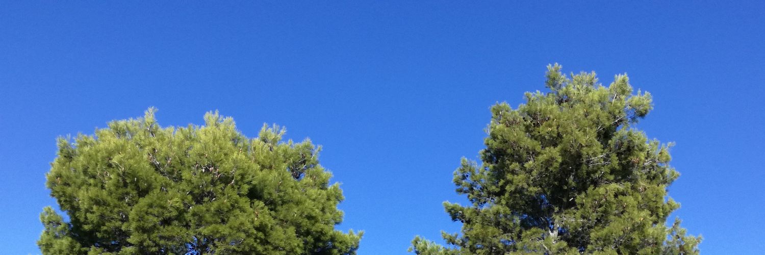 Rima1981's profile banner image