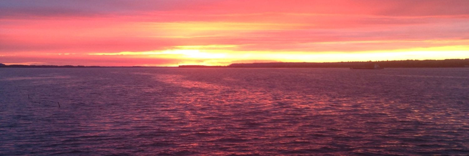 Semapx's profile banner image