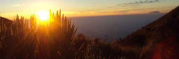 Janupraj Profile Banner