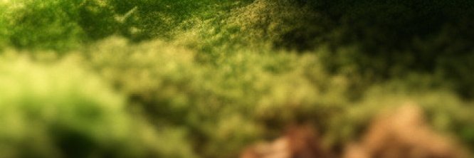 viraj6812's profile banner image