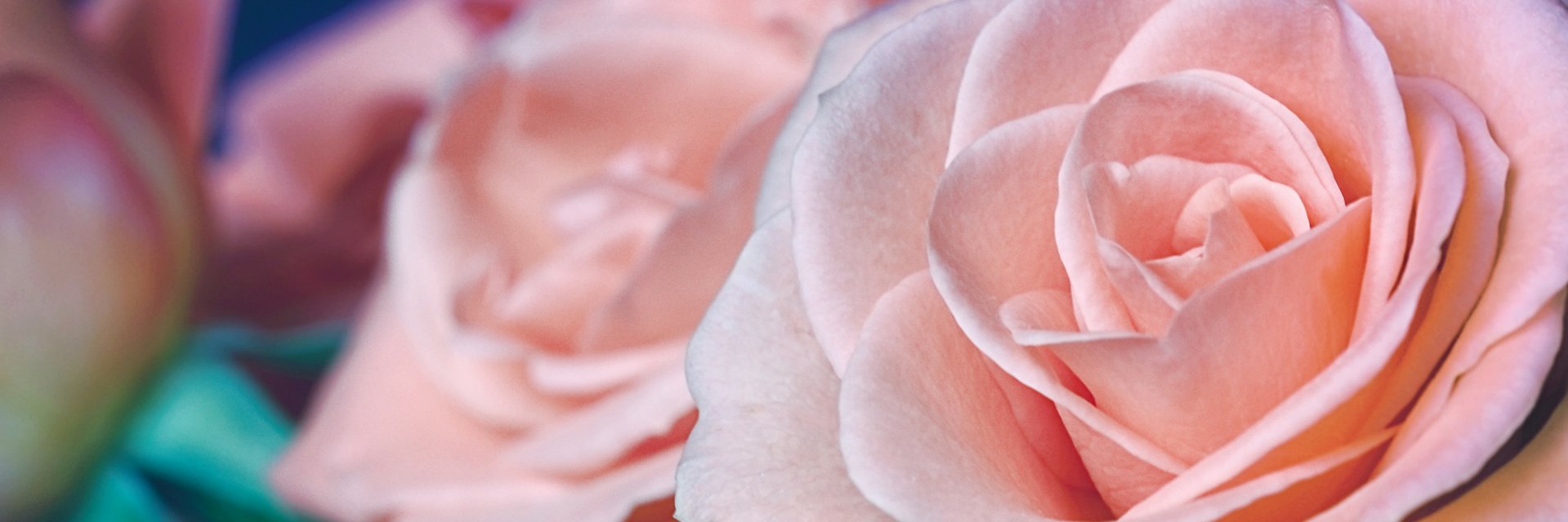 mozeyswhim's profile banner image