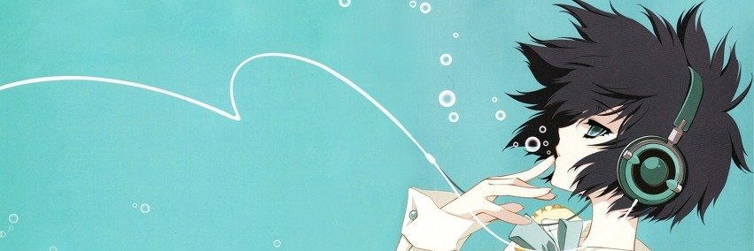 Shike banner