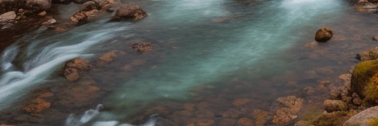smithjain24's profile banner image