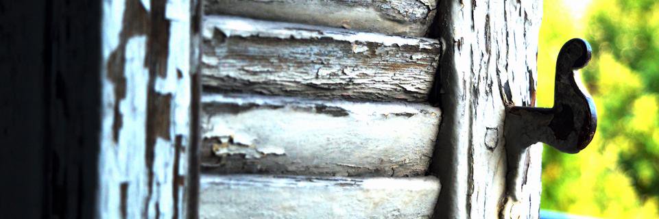 genus migrans banner