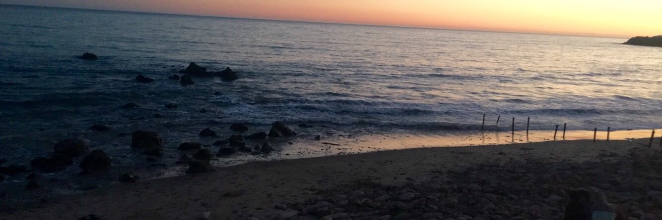 viberae's profile banner image
