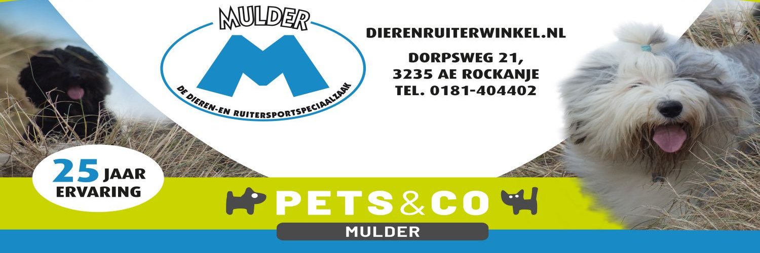 dszMulder's profile banner image