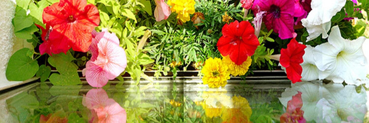Flowers Shop banner