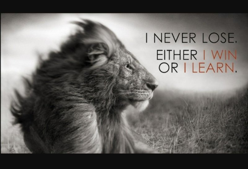 gail_bremner's profile banner image
