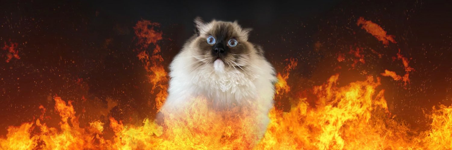 Blue Eyes White Baggins banner