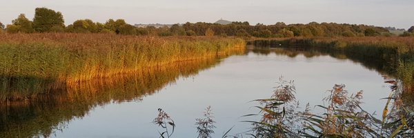 IanBarrettSW Profile Banner