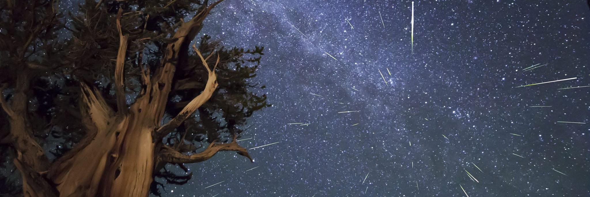adamhaklimi's profile banner image