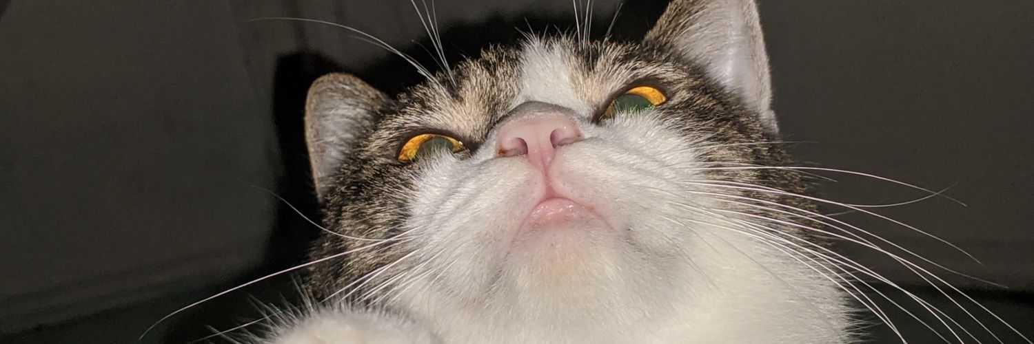 kaderwildan's profile banner image