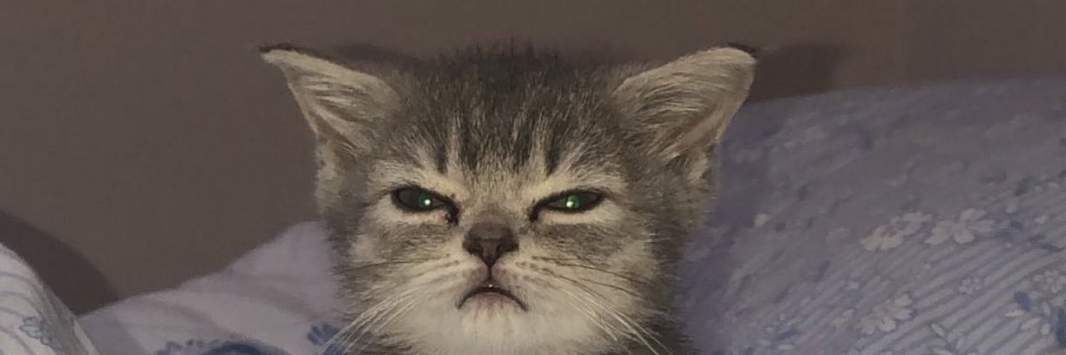 loukiny's profile banner image