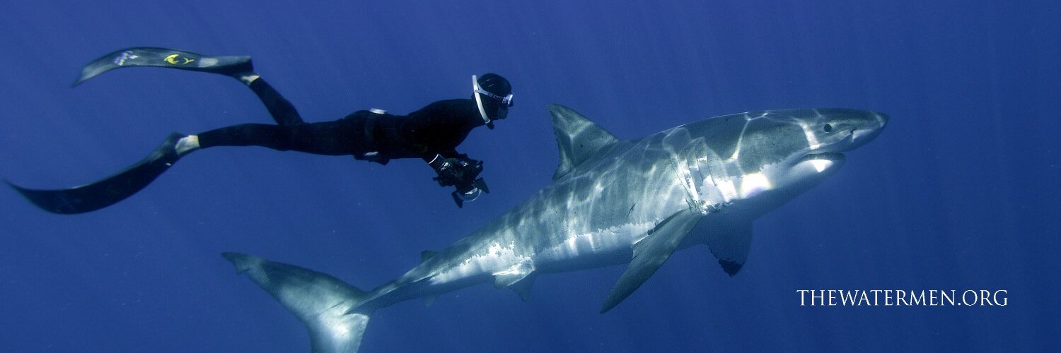 William Winram banner