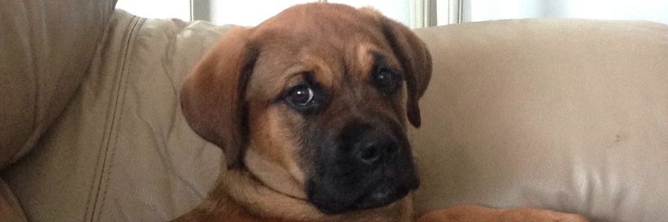 jake_buckley51's profile banner image