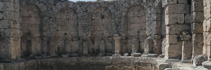 MinaAnim5's profile banner image