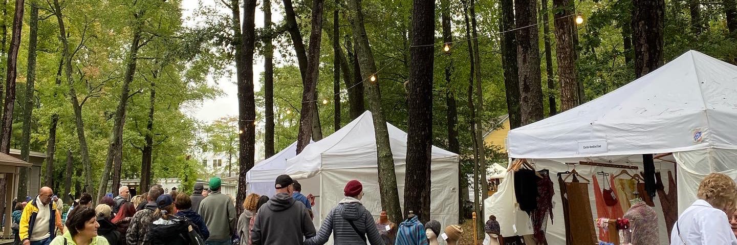 evaafulton's profile banner image