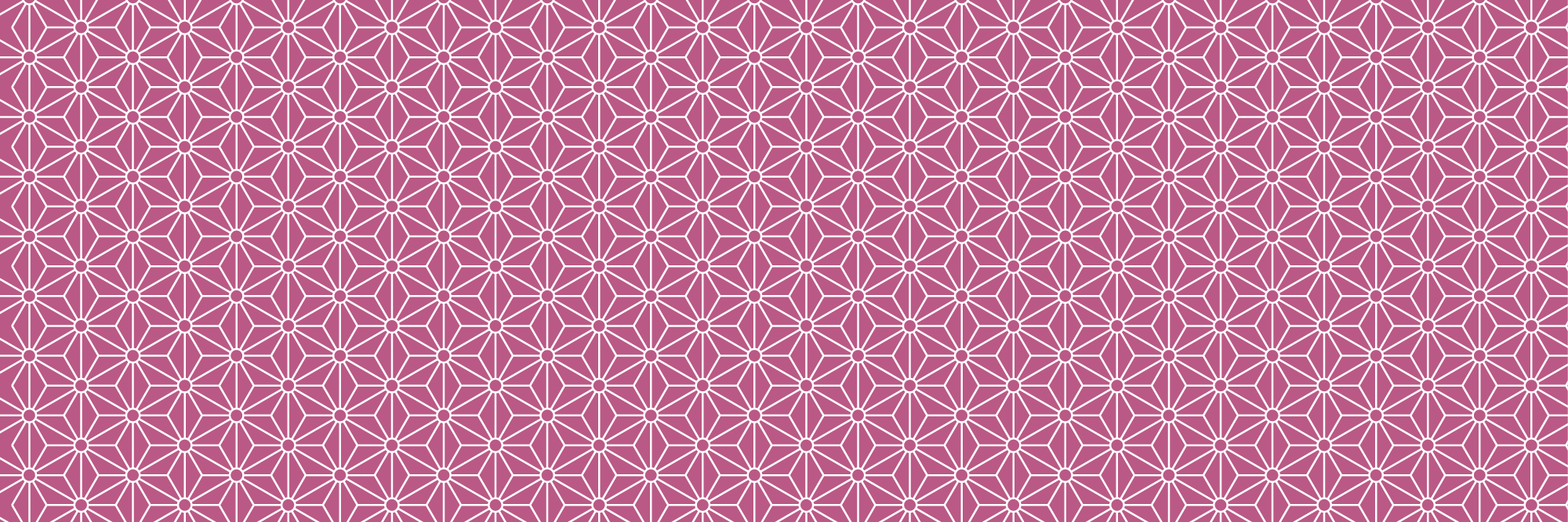 Z_Astrid's profile banner image