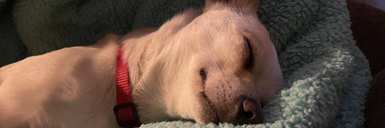 chrissaave's profile banner image