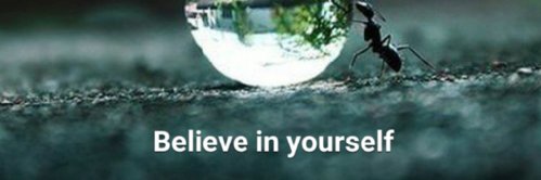 samcityplus's profile banner image