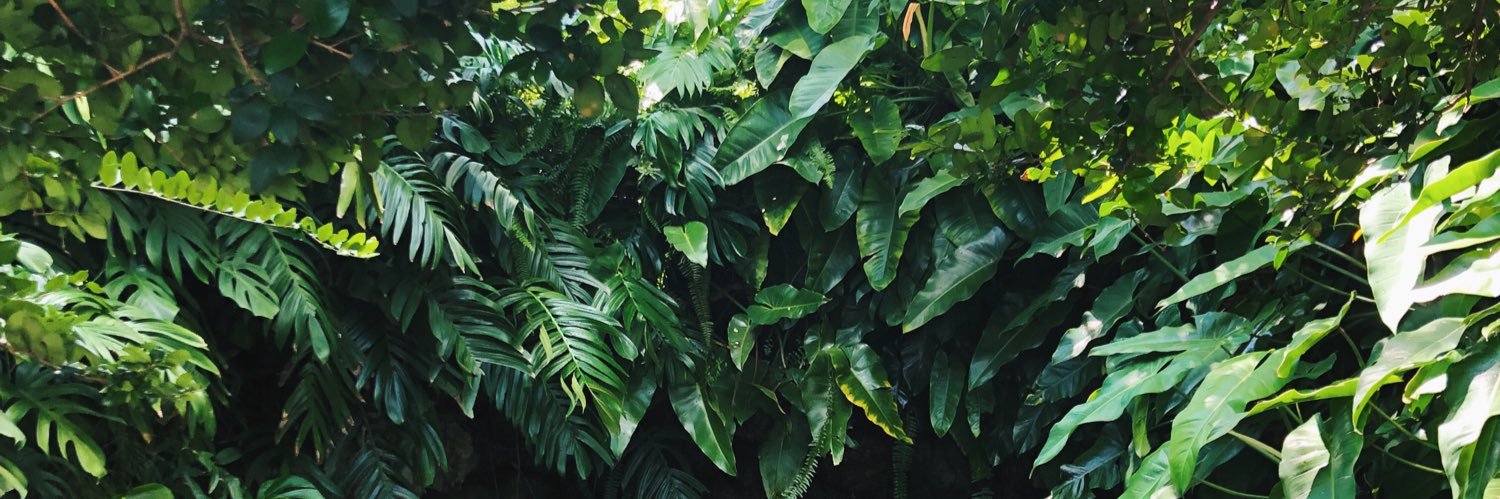 KatyIver's profile banner image