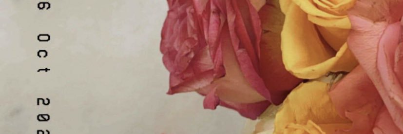 ___3789's profile banner image