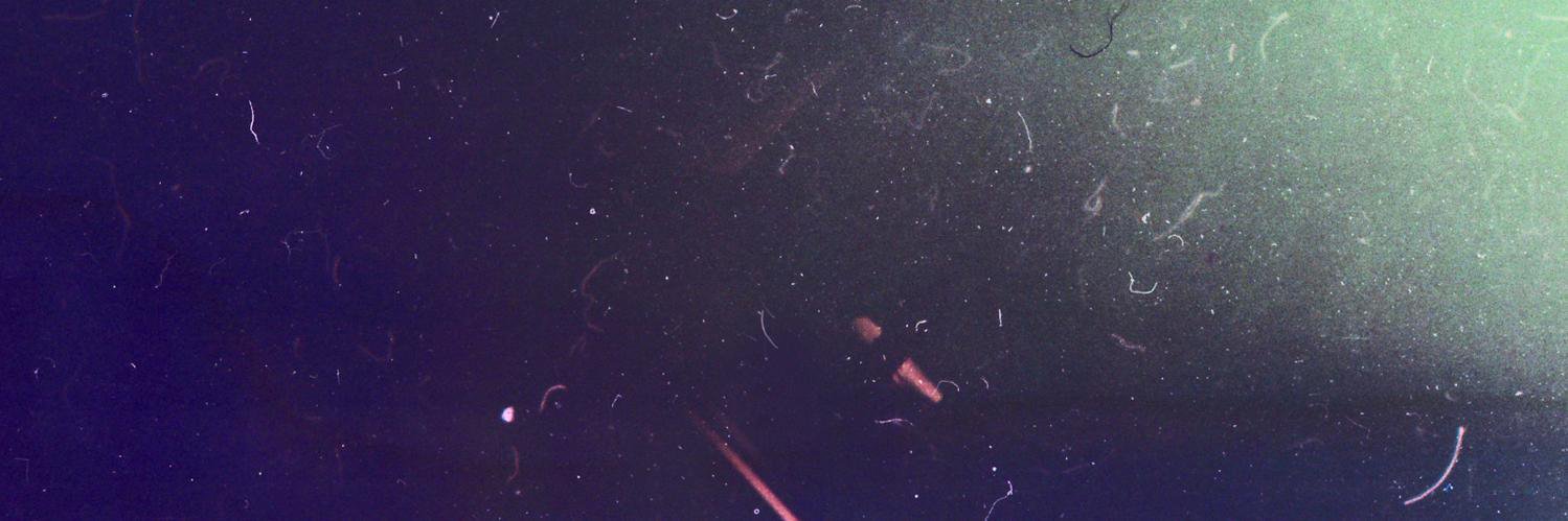 PeterDelaney1's profile banner image