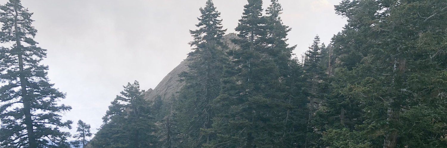 daniellacerv's profile banner image