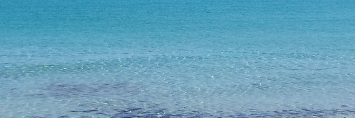 PeterBorghi's profile banner image