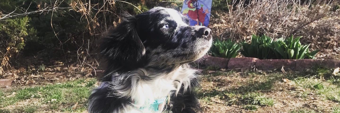 omgitstessmarie's profile banner image