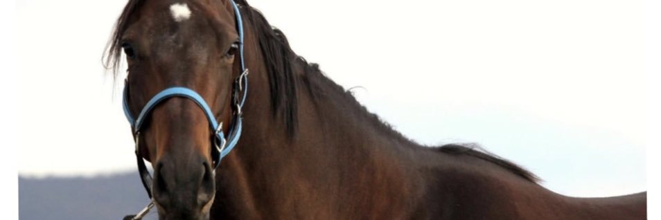OnlyDans55's profile banner image