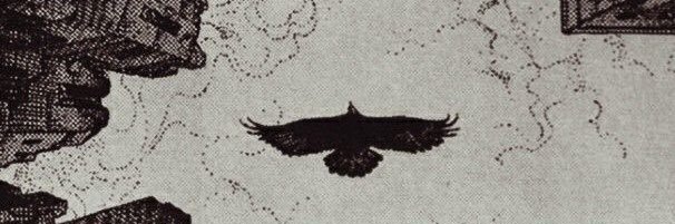 SaidAbdll's profile banner image