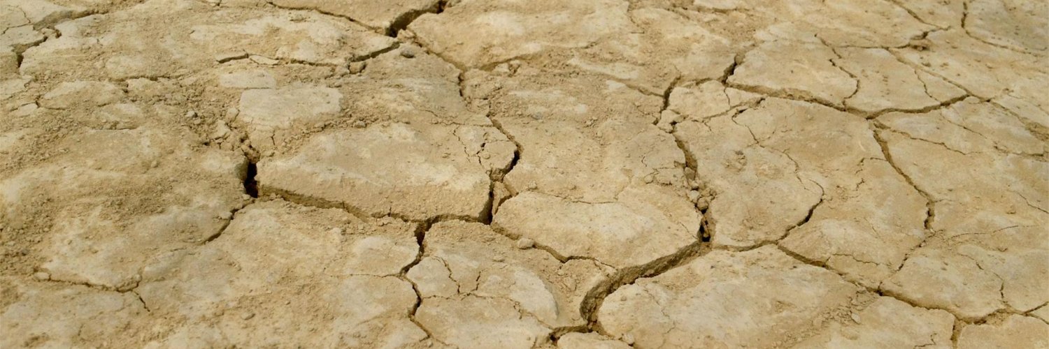 TensorFlow Community banner