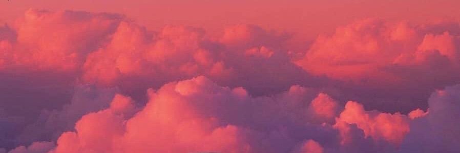 bearAZZED's profile banner image