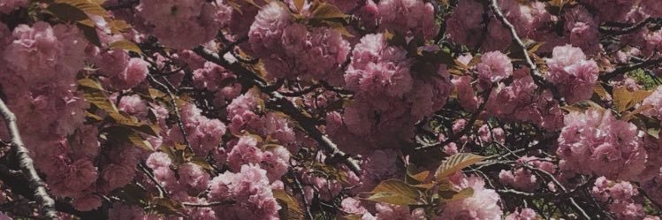 maegankyndraa's profile banner image