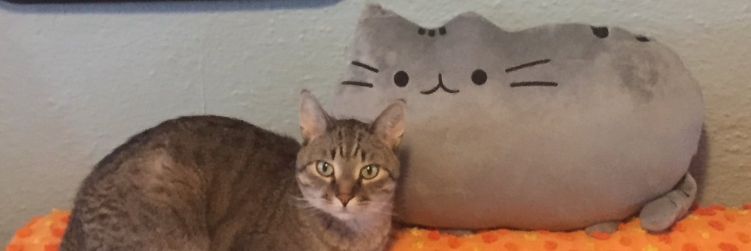 pichettecomedy's profile banner image