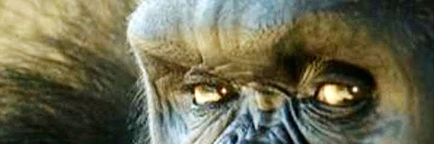 FerCallari's profile banner image