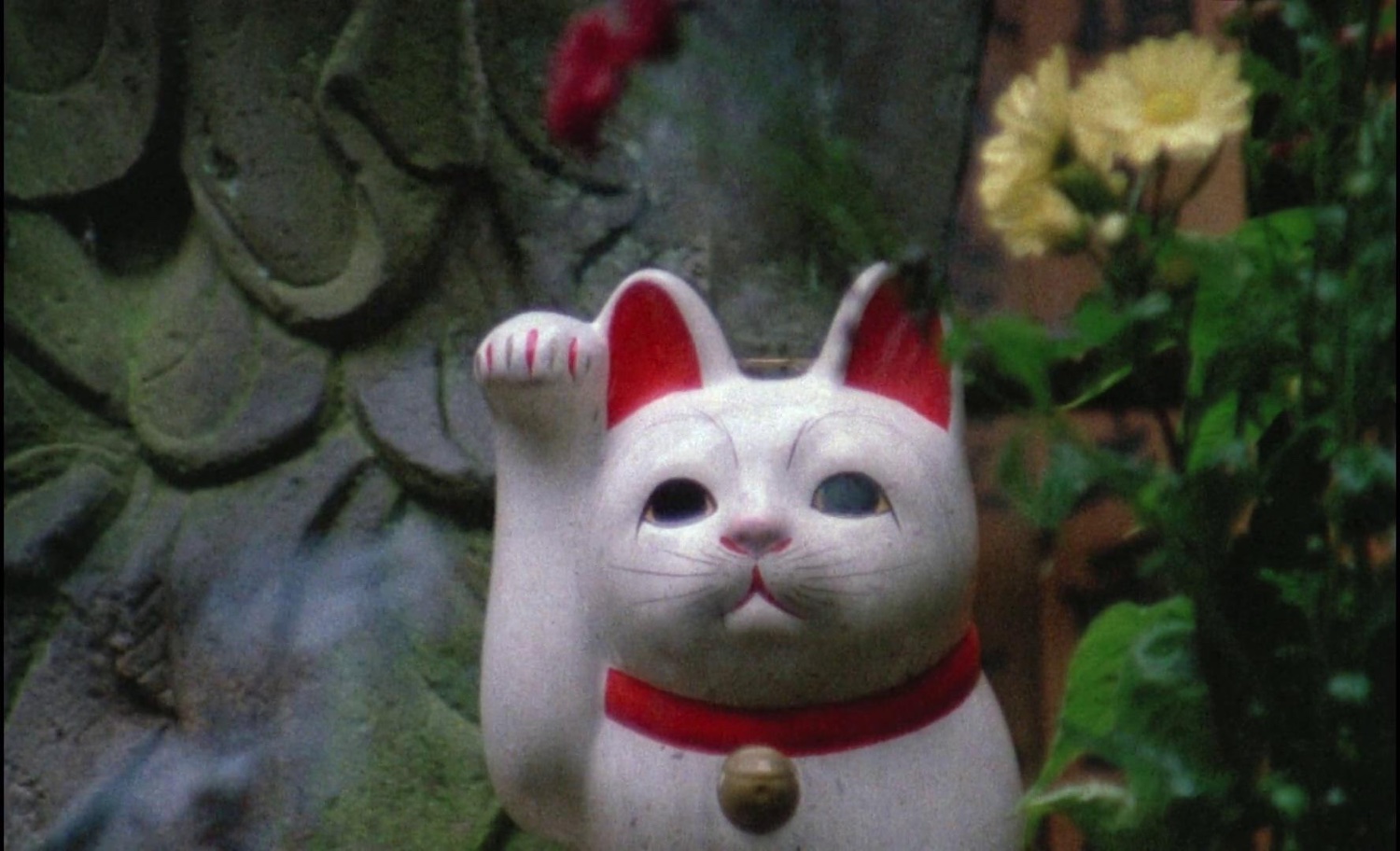 filmbert's profile banner image