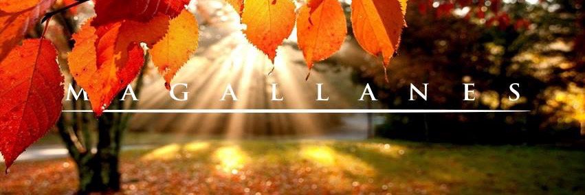 Magallanes_Bar's profile banner image